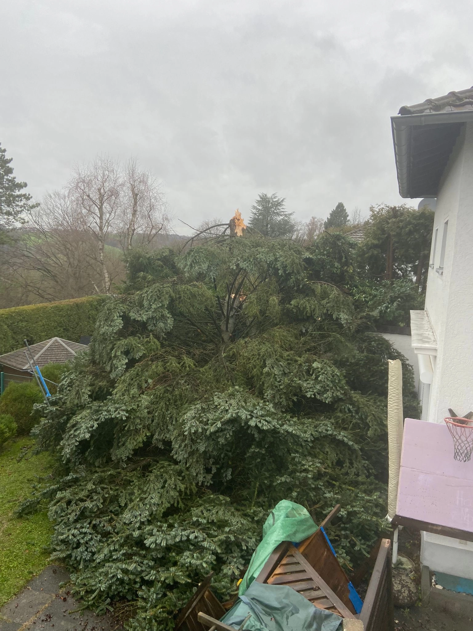 Wenn ein Baum zur Gefahr wird - Sturmschäden