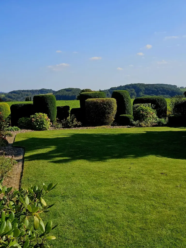 Heckenpflege-Formschnitt-Gartenpflege-Lindlar-oberbergischer-kreis-baumservice-blank