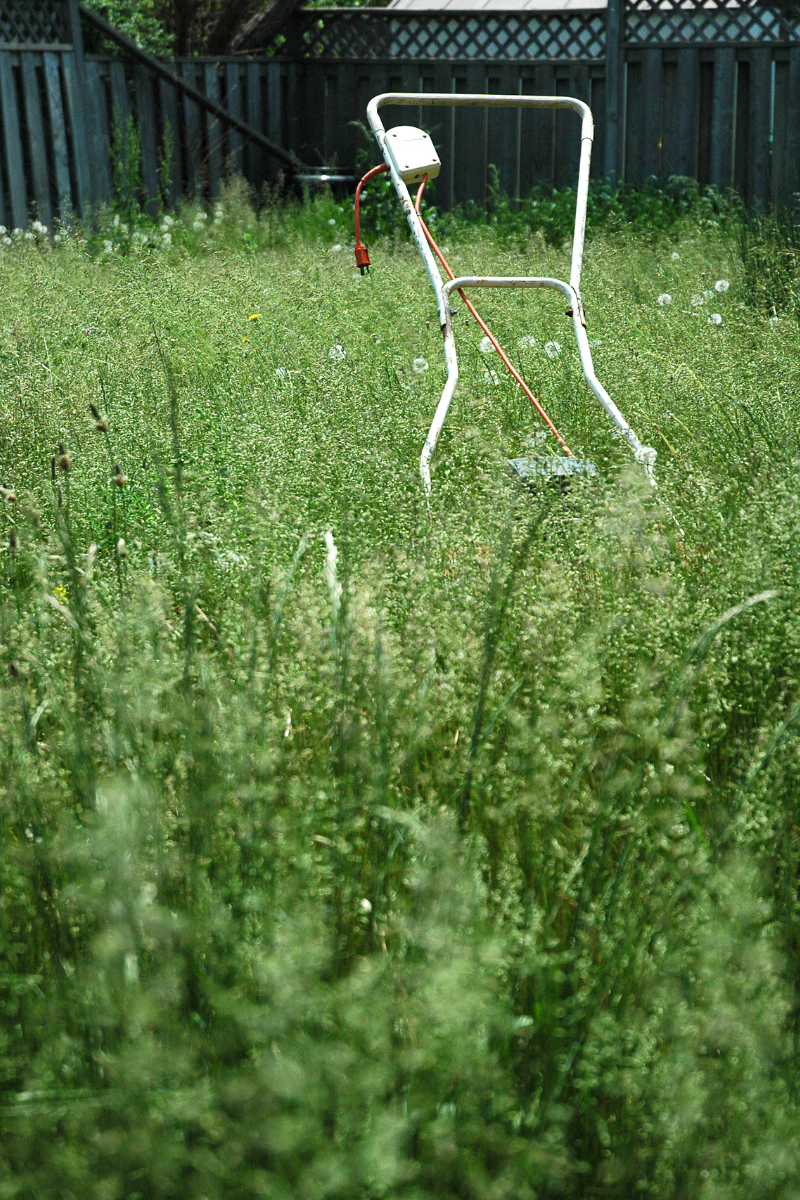 Keine Zeit für den Garten? Wir kümmern uns darum Sascha Blank Lindlar